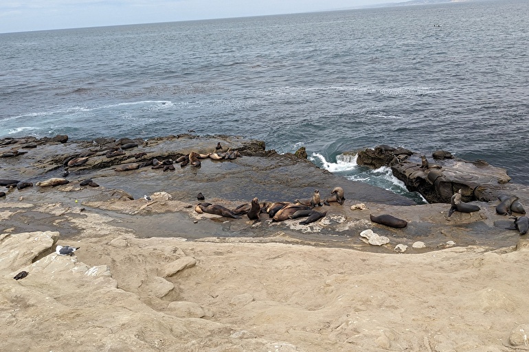 ラ・ホヤ(La Jolla)
